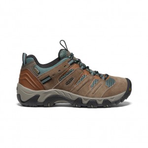 Keen Headout Waterproof Wandelschoenen Dames Bruin | GCF5570EI