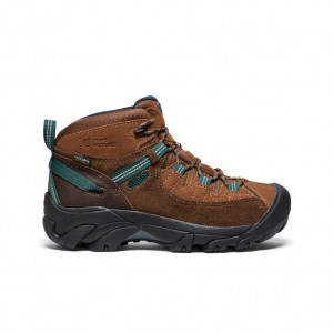 Keen Targhee II Waterproof x Leave No Trace Wandellaarzen Dames Donkerbruin | KTU2181EM