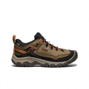 Keen Targhee IV Waterproof Wandelschoenen Heren Olijfgroen Zwart | YEL859YG