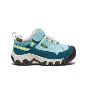 Keen Targhee IV Waterproof Wandelschoenen Kinderen Groen | BSR674LH