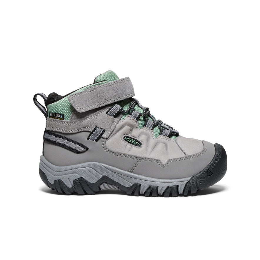 Keen Targhee IV Waterproof Wandellaarzen Kinderen Grijs Groen | QLL4250LZ